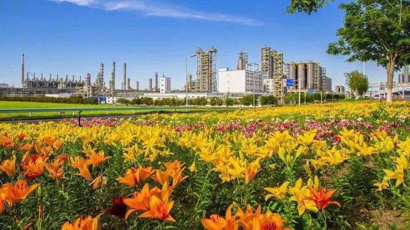 化工原料批发市场：揭秘其运作机制与选购要点