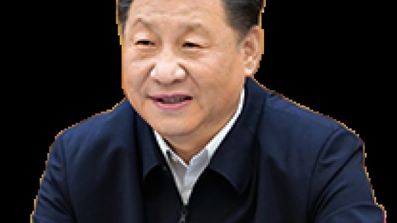 高分子材料代理加盟：如何选择合适的厂家**